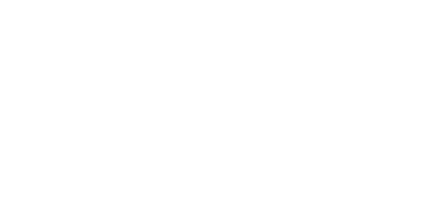 Chiropractic Chapin SC Palmetto Spine and Pain