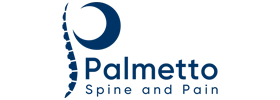 Chiropractic Chapin SC Palmetto Spine and Pain